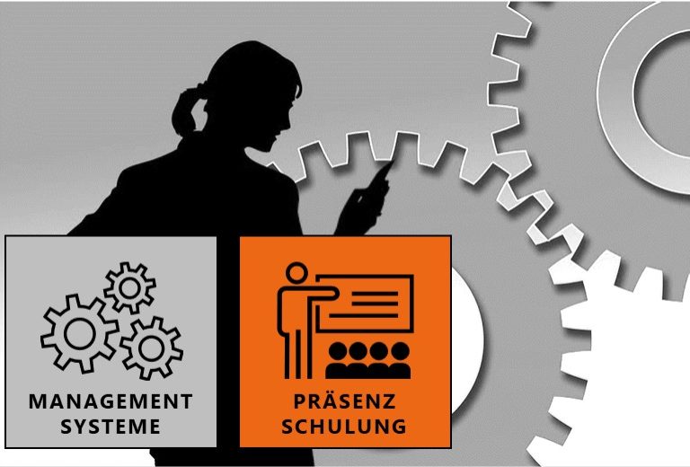Online Schulung zu Managementsystemen
