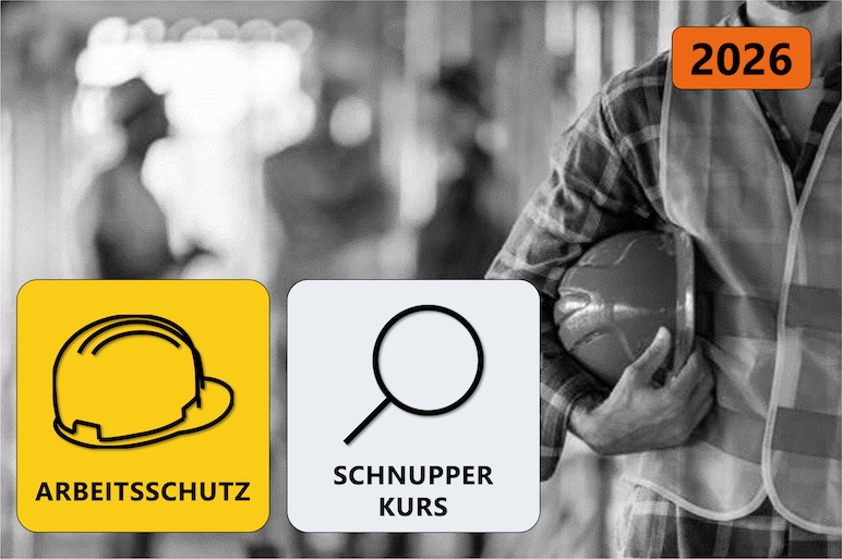 Sicherheitsbeauftragter Schulung Online Schnupperkurs